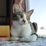 H / 台中 的成員照