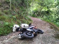 無語/高雄 的愛車照片